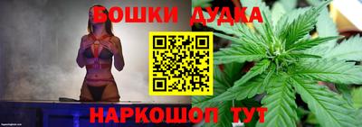 spice Шахты