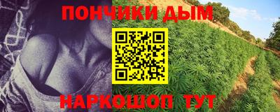 spice Шахты
