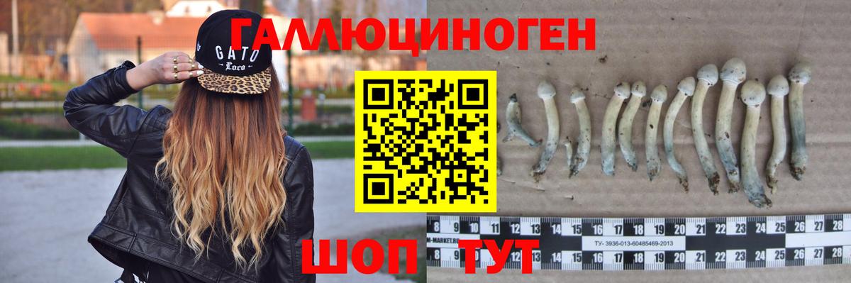 Галлюциногенные грибы Cubensis Вязники